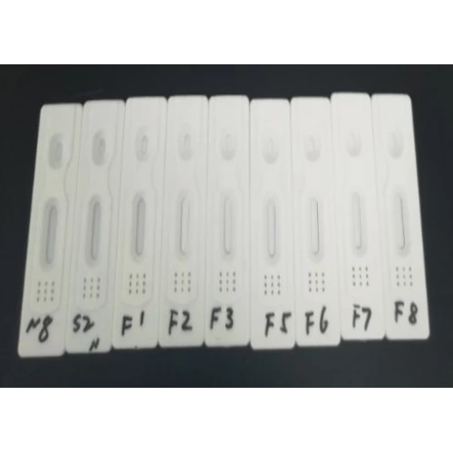 SARS-CoV-2（COVID-19）IgM / IgG抗體快速檢測